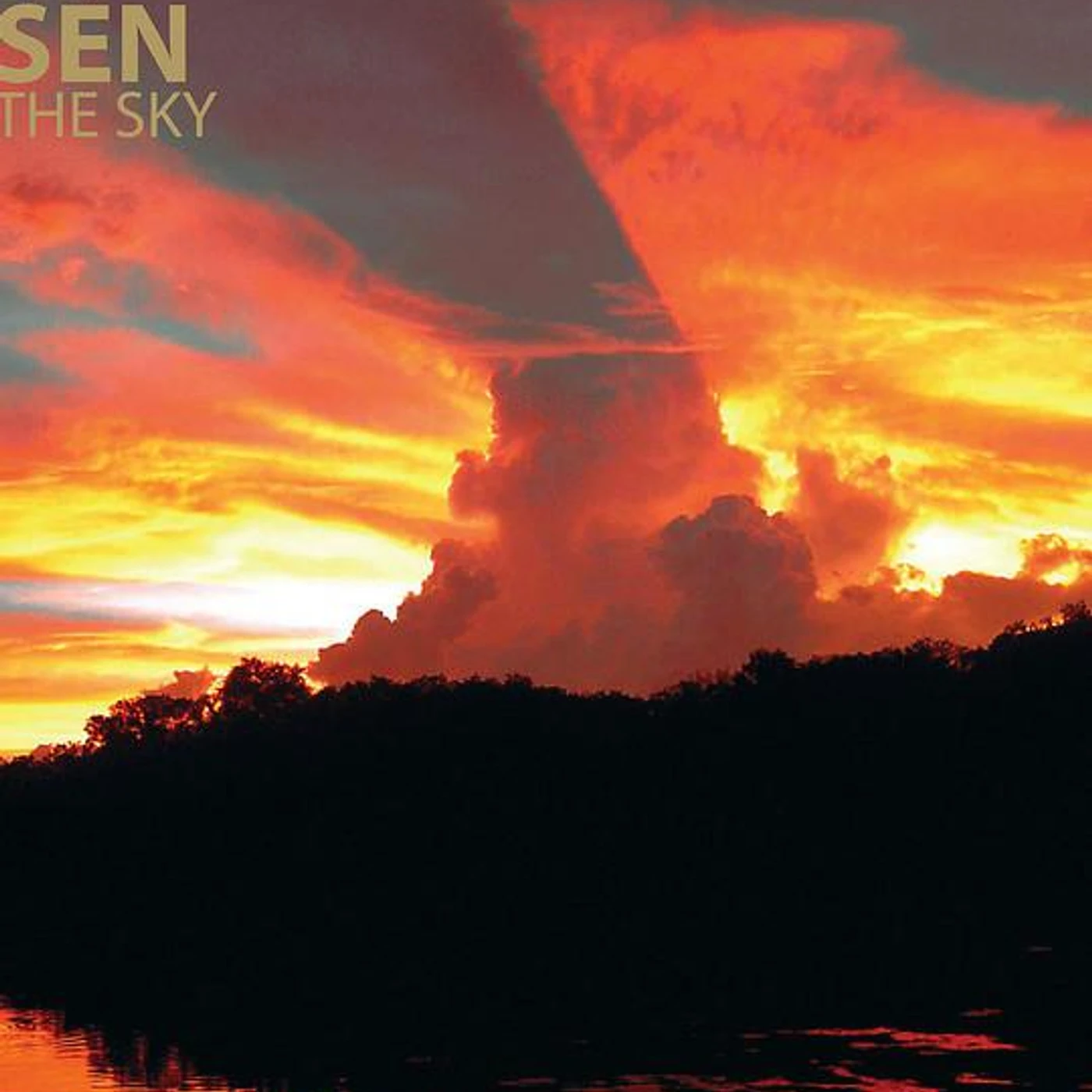 Nick Rosen Brand Page