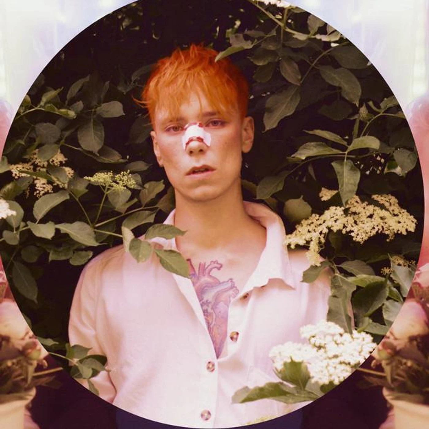 Nicky William Brand Page