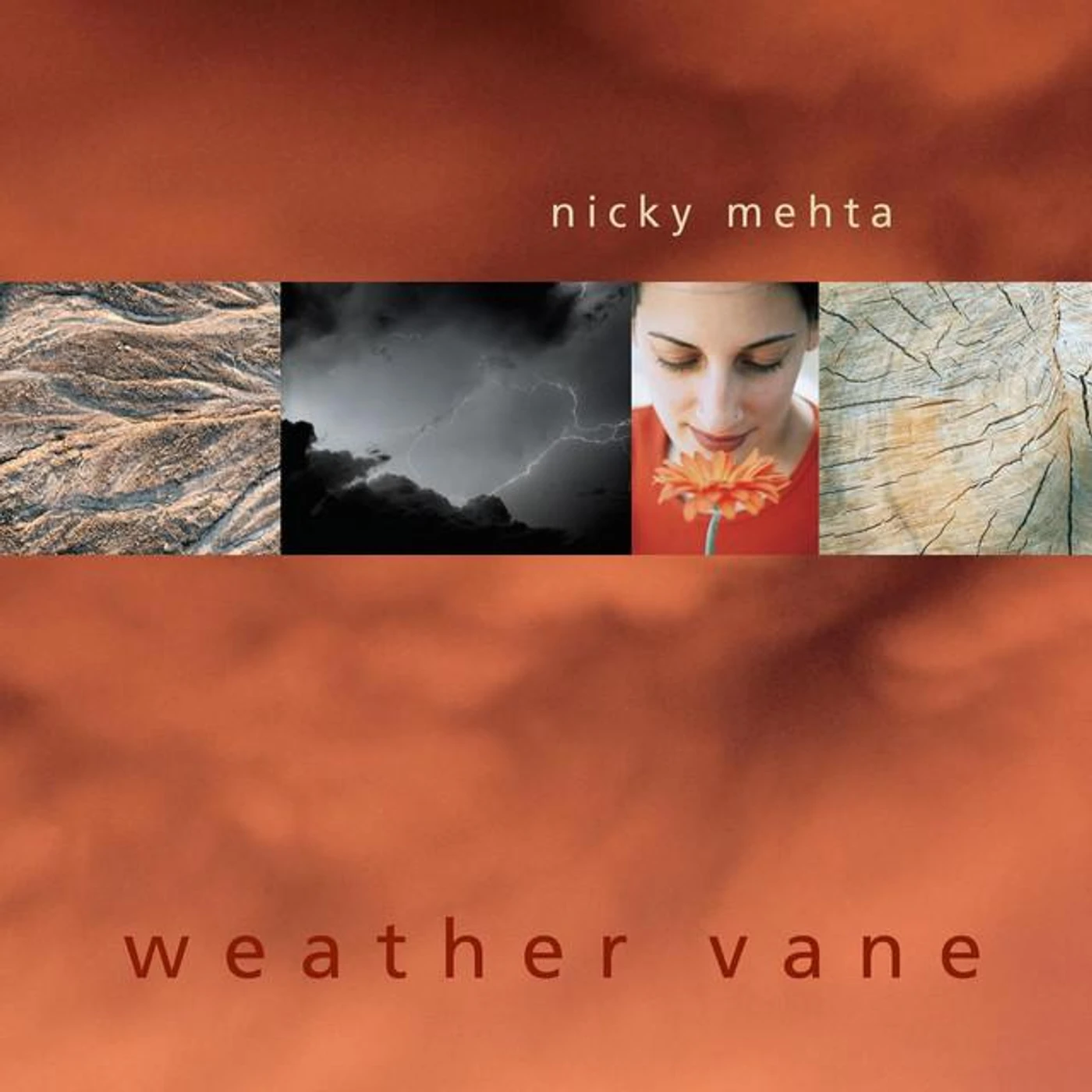 Nicky Mehta Brand Page