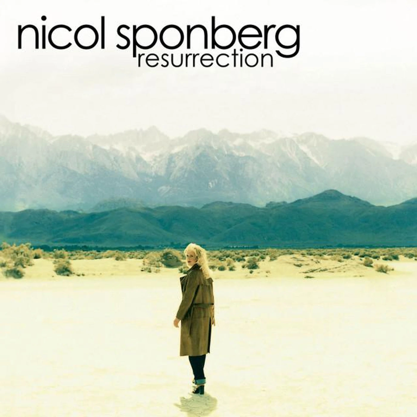 Nicol Sponberg Brand Page
