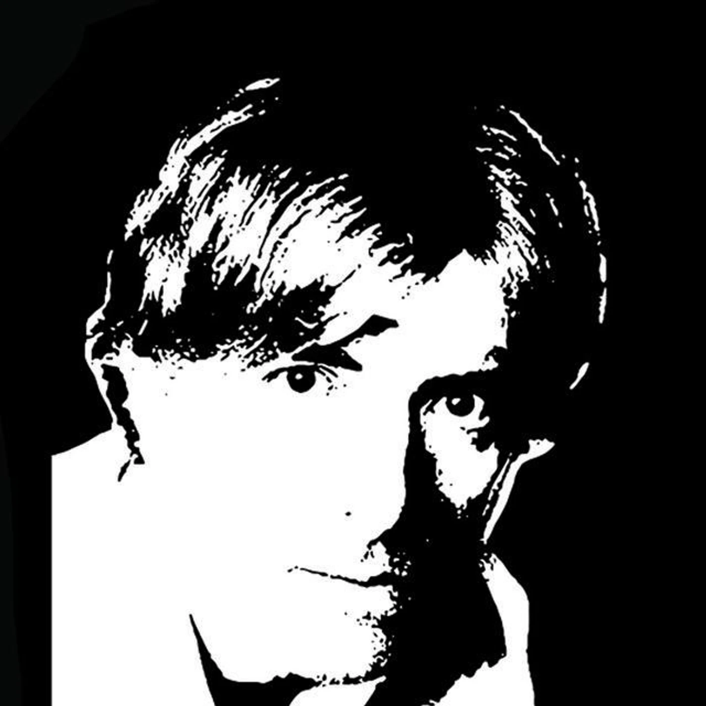 Nicolas Godin Brand Page