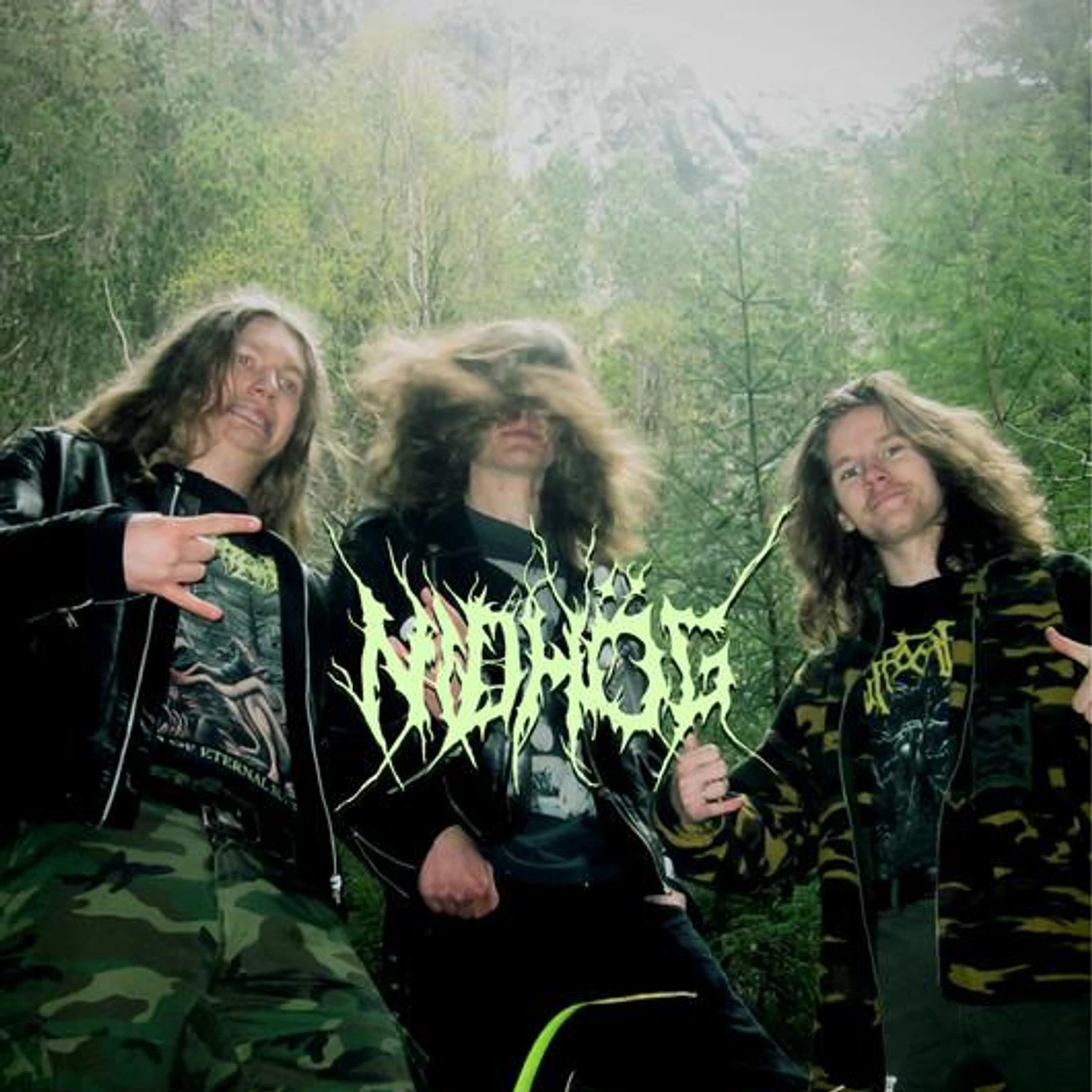 Nidhög Brand Page