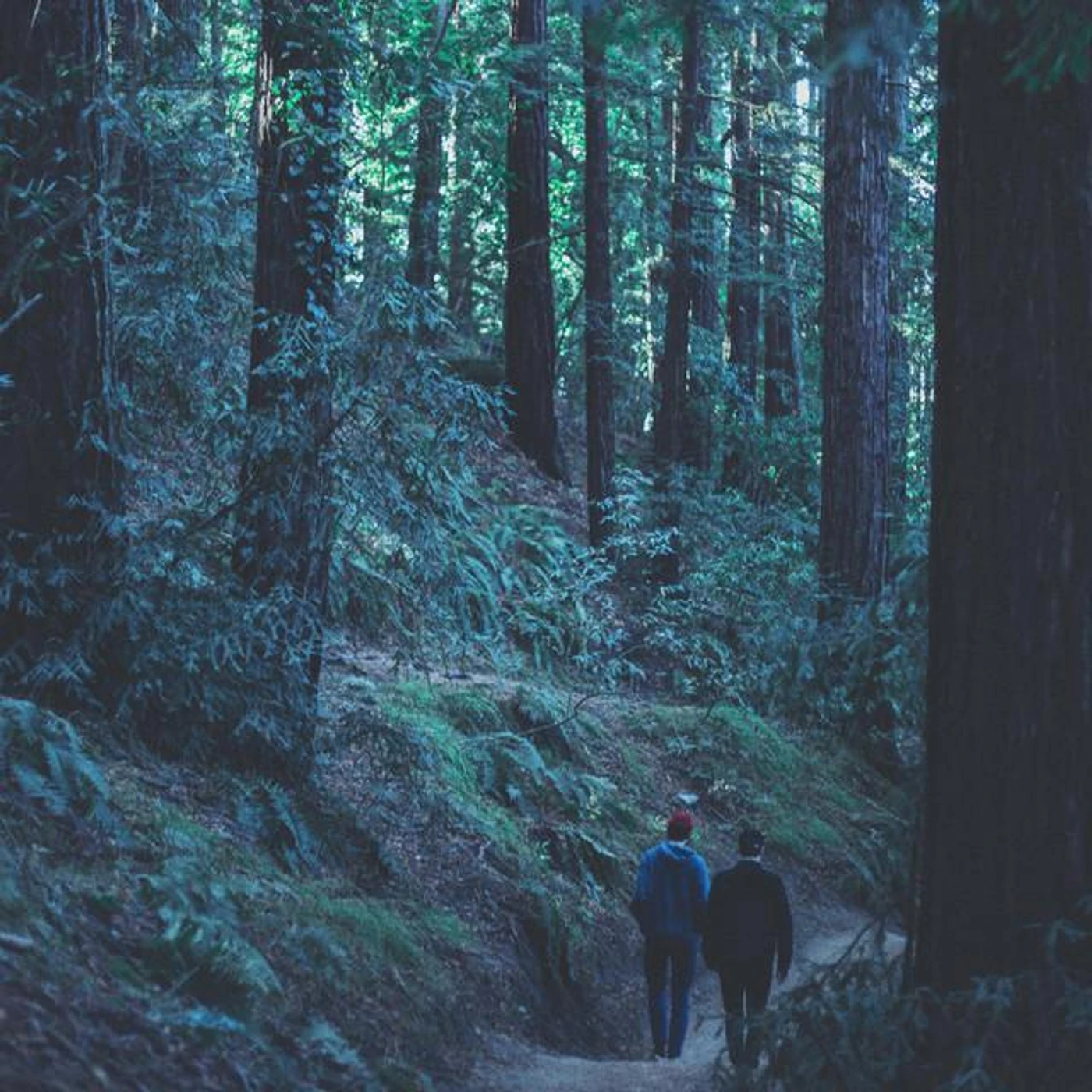 Night Sea Brand Page