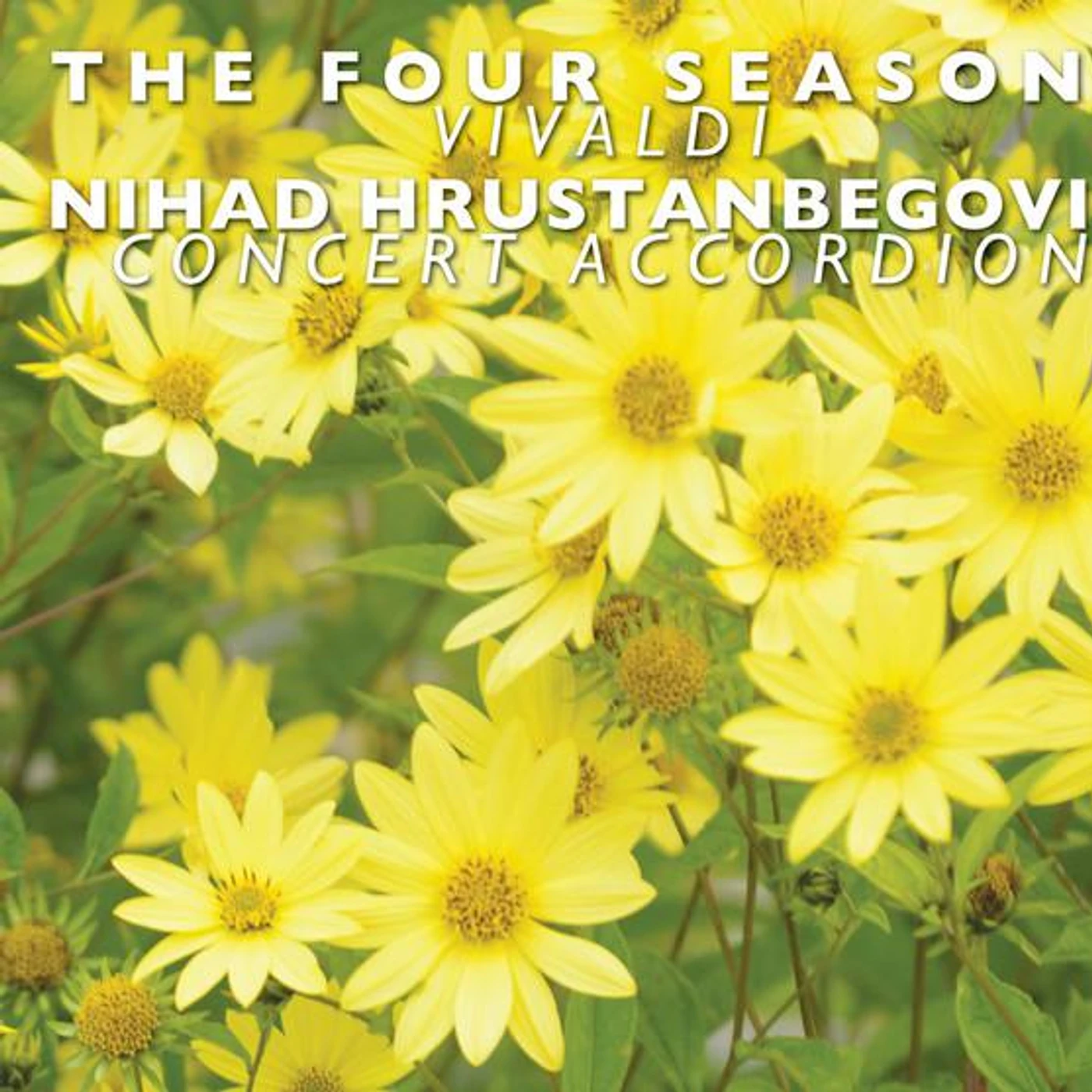Nihad Hrustanbegovic Brand Page