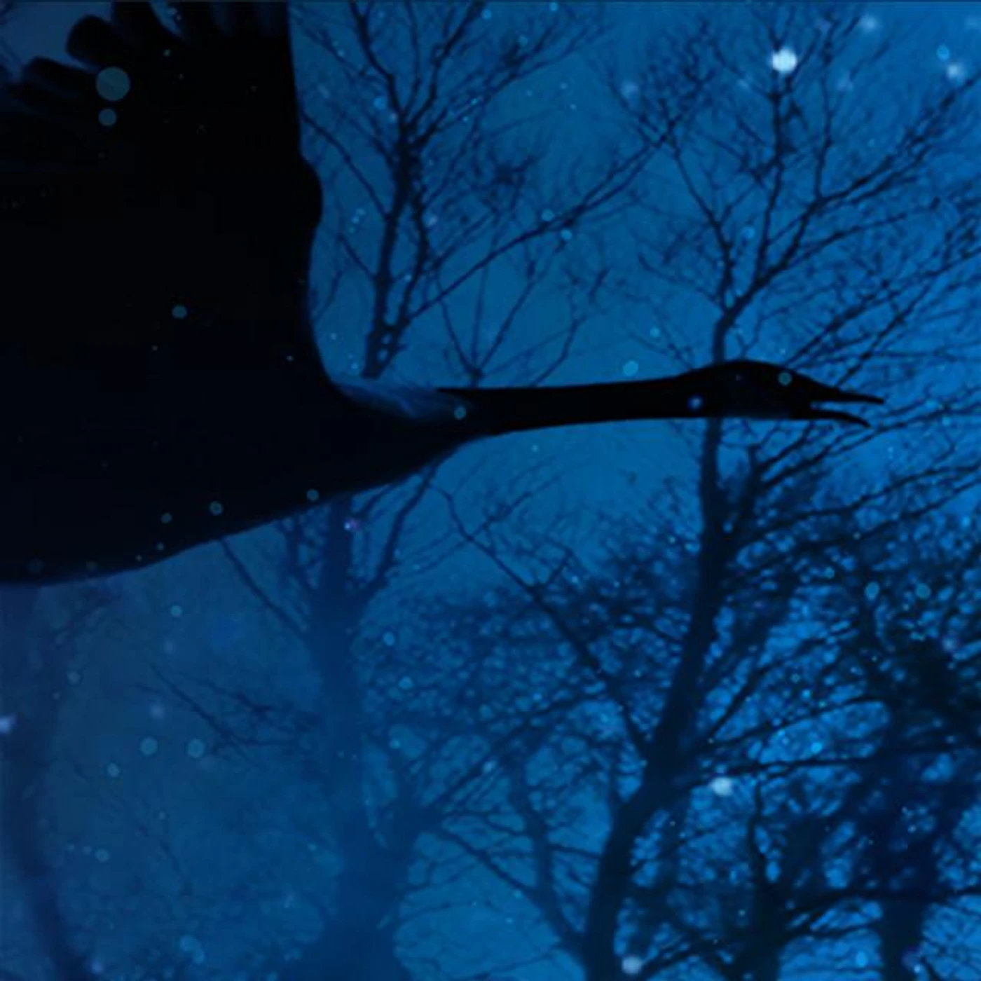 Nikamu Mamuitun Brand Page