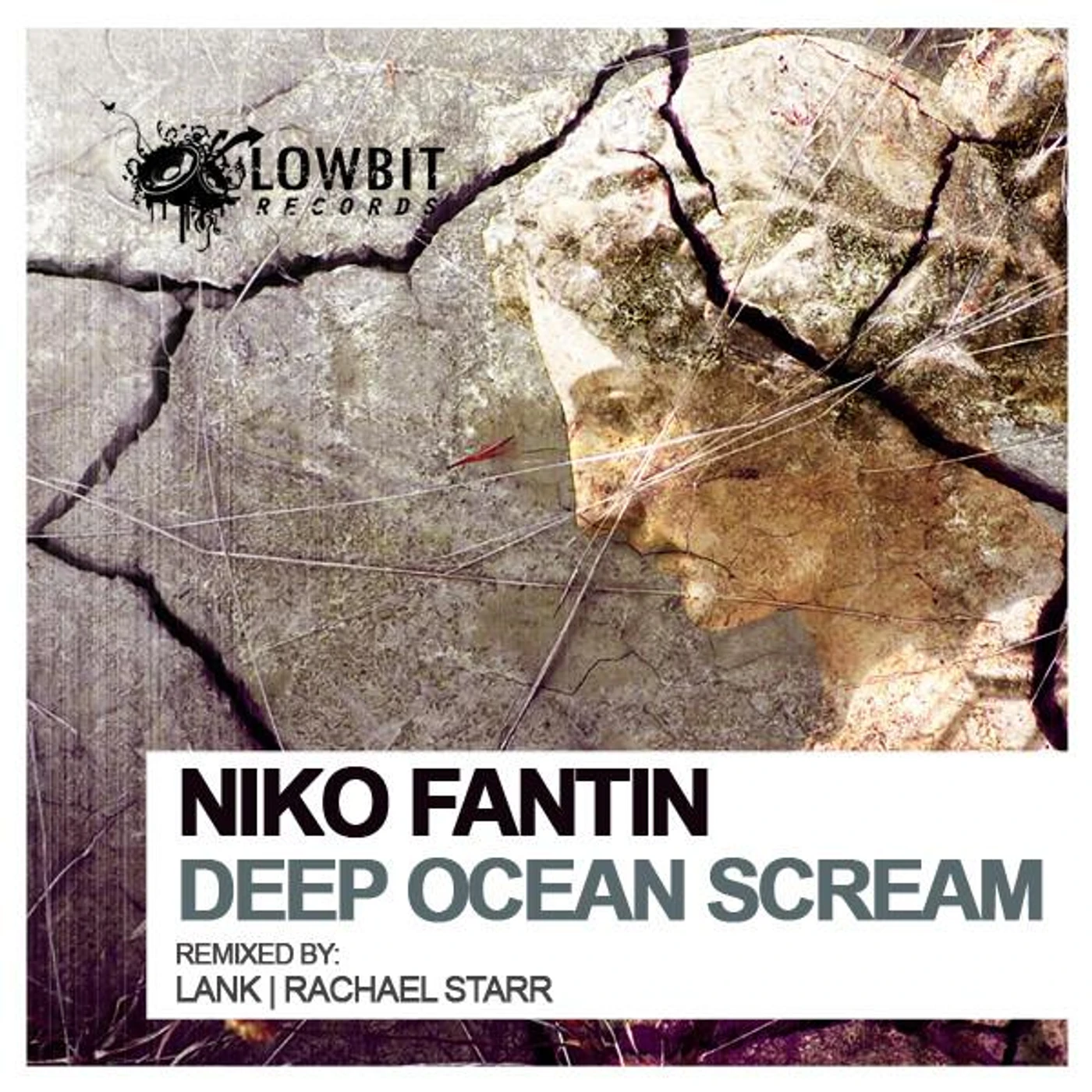 Niko Fantin Brand Page