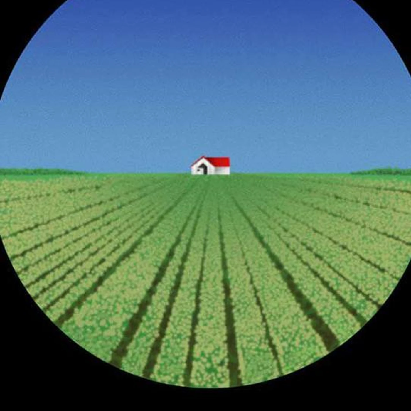 Noah Nolastname Brand Page