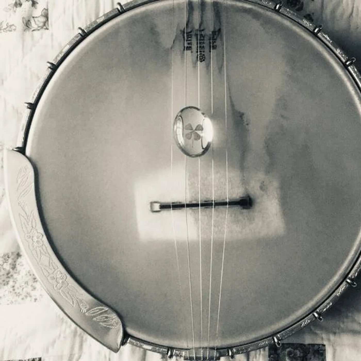 Noah Cline Brand Page