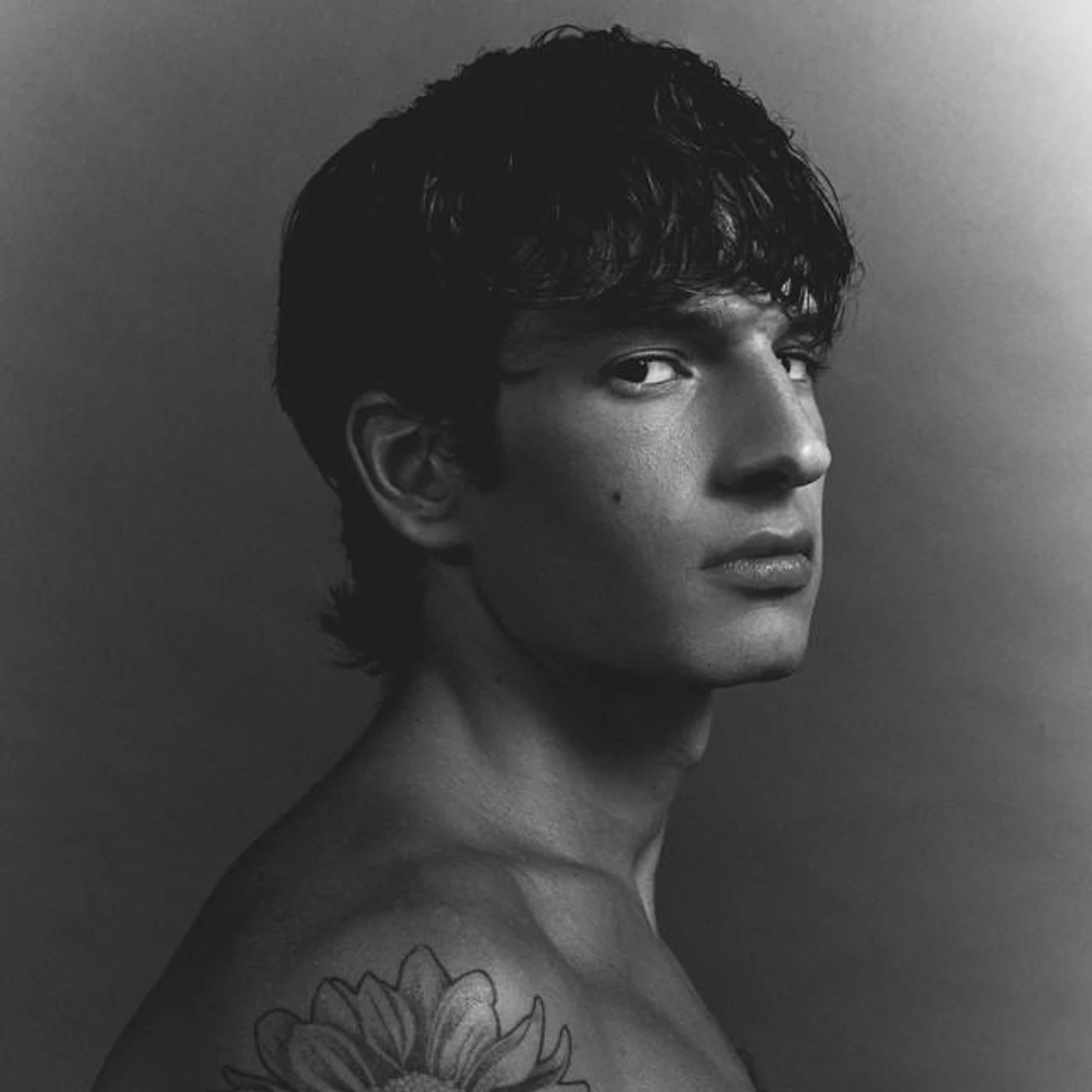 Noah Levi Brand Page