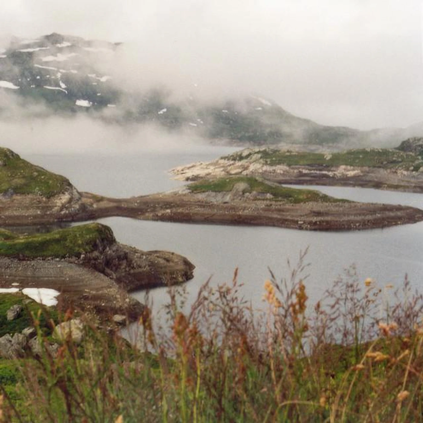 Nordic Wilderness Brand Page