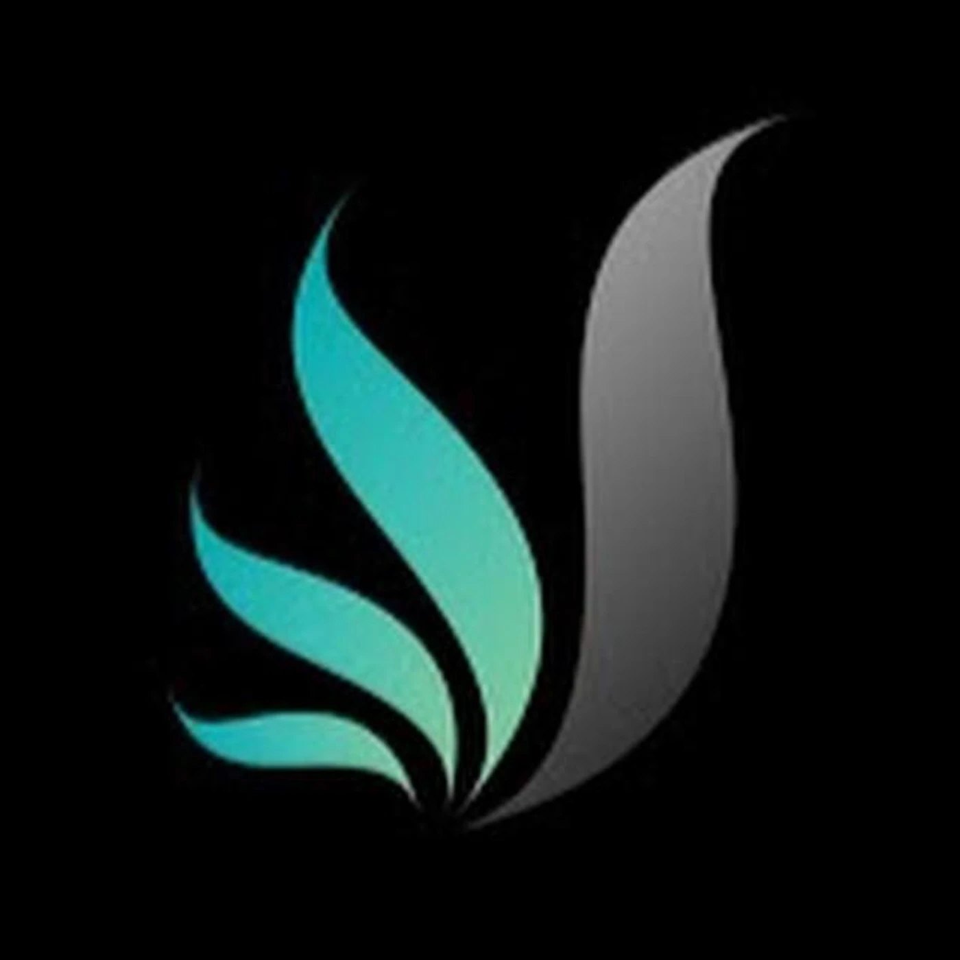 Noria Beats Brand Page