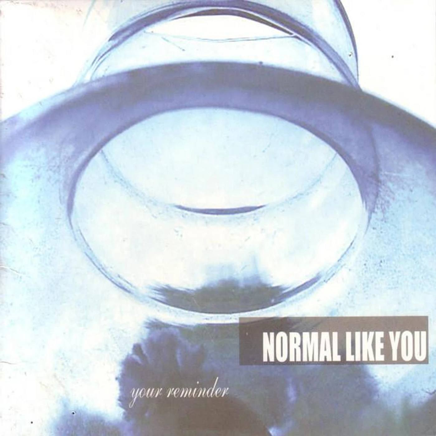 Normal Like You Brand Page