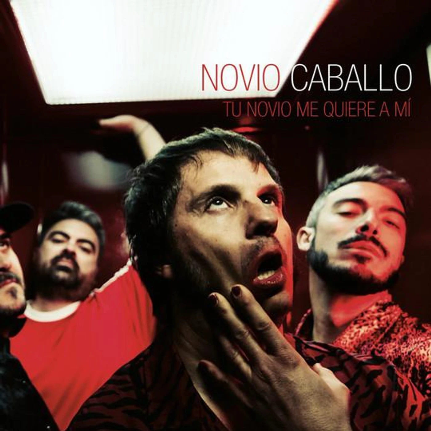 Novio Caballo