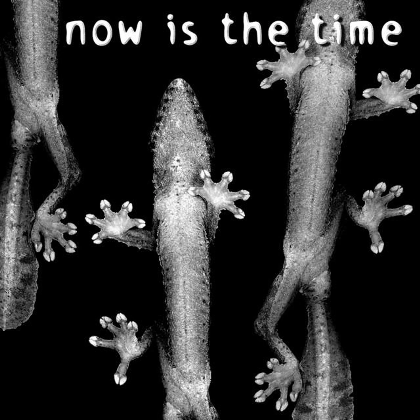 Now is the Time Brand Page