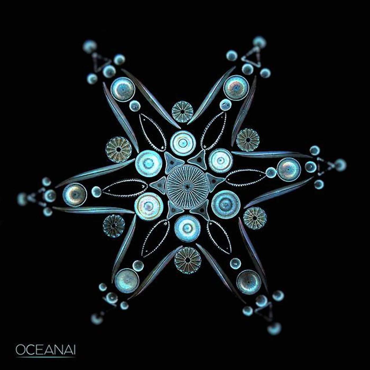Oceanai
