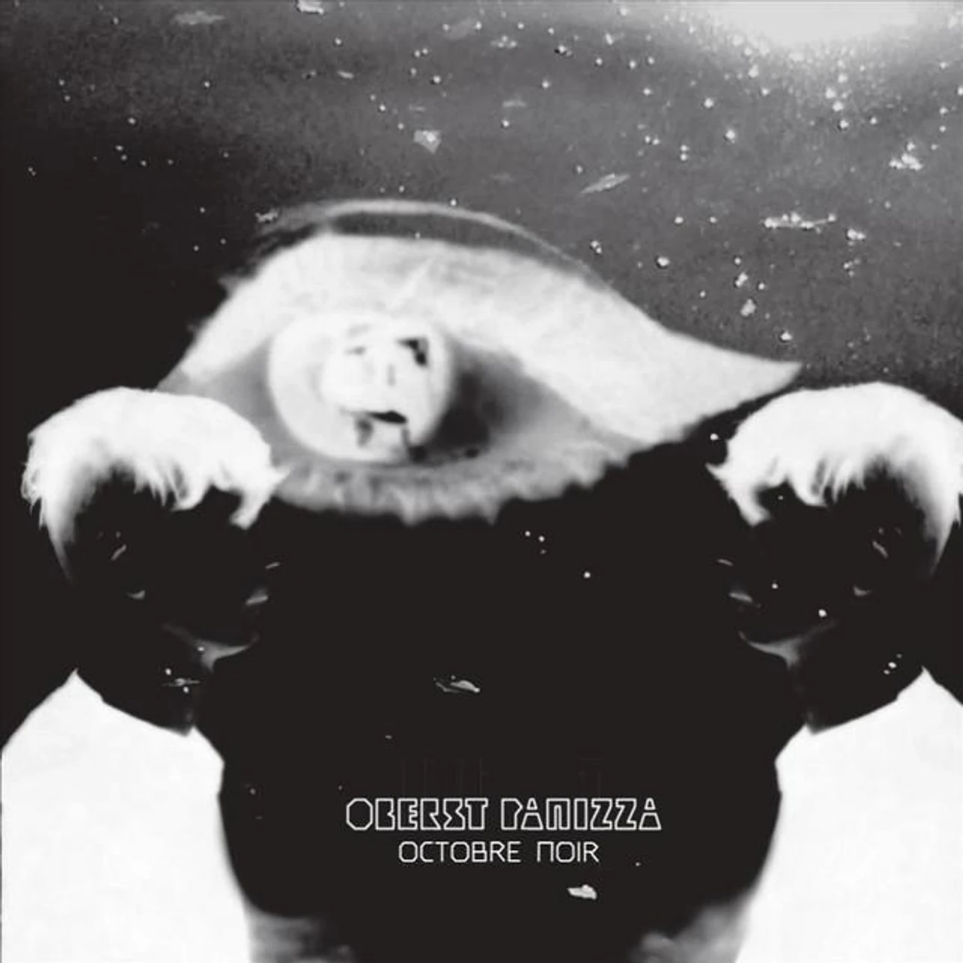 Oberst Panizza