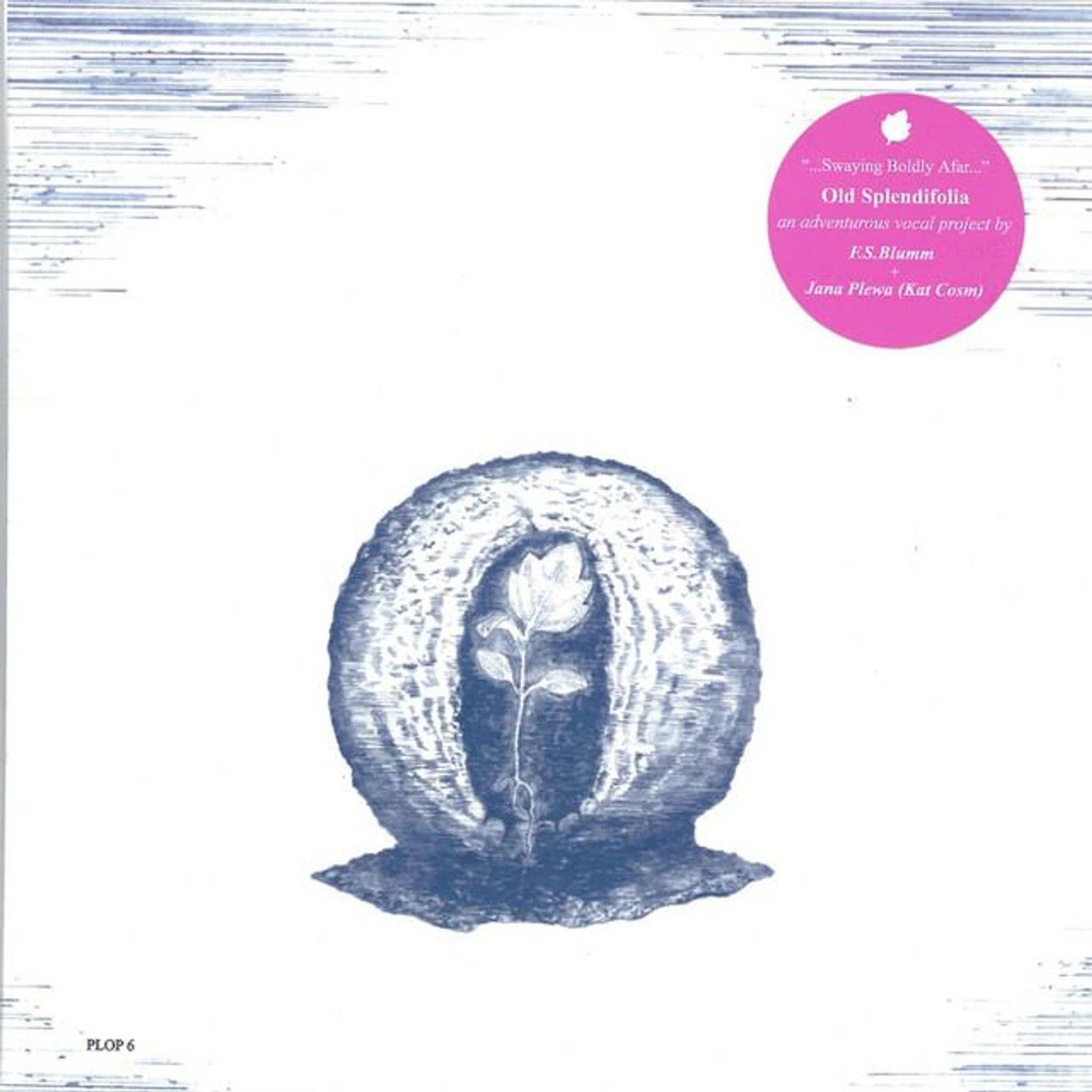 Old Splendifolia Brand Page