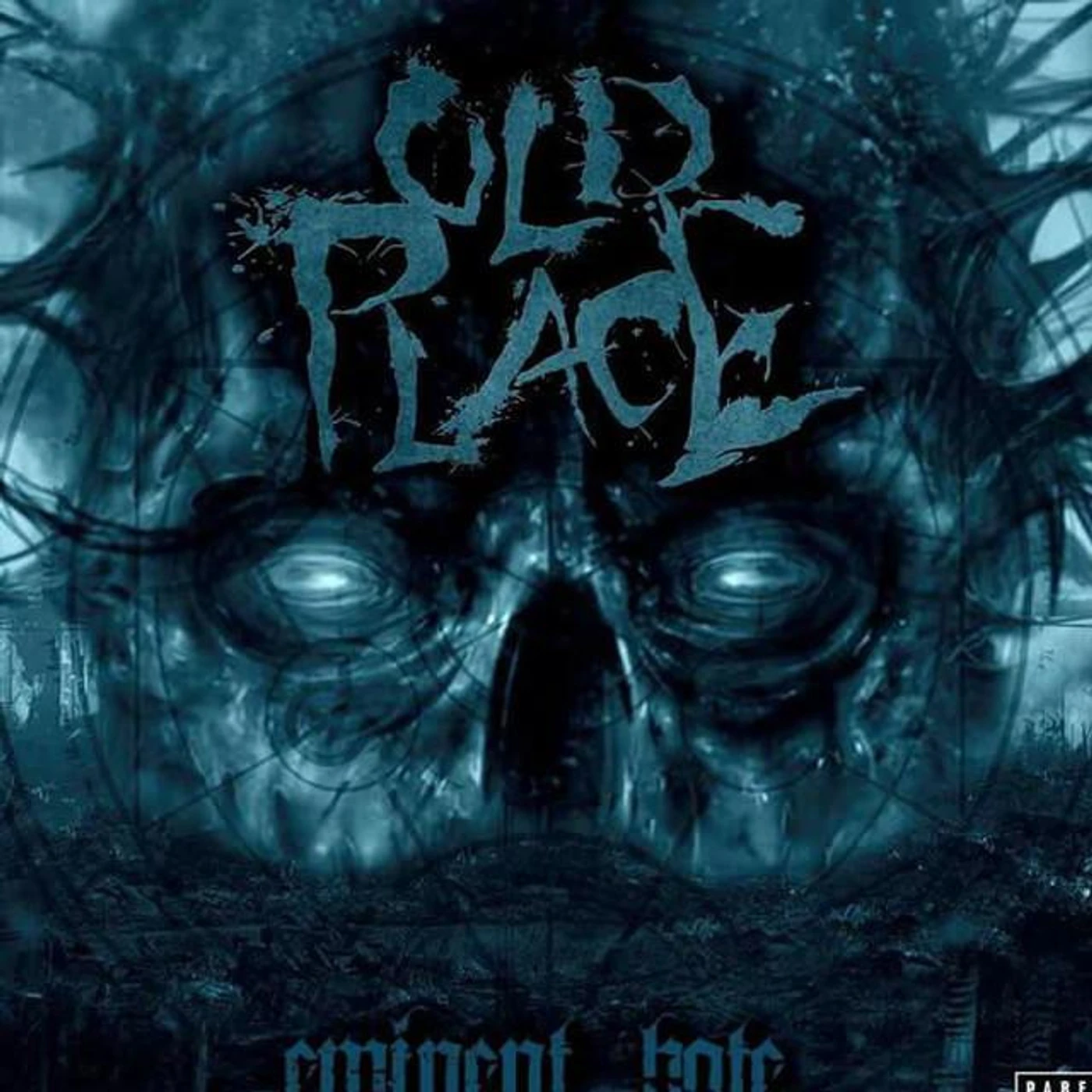 Old Place