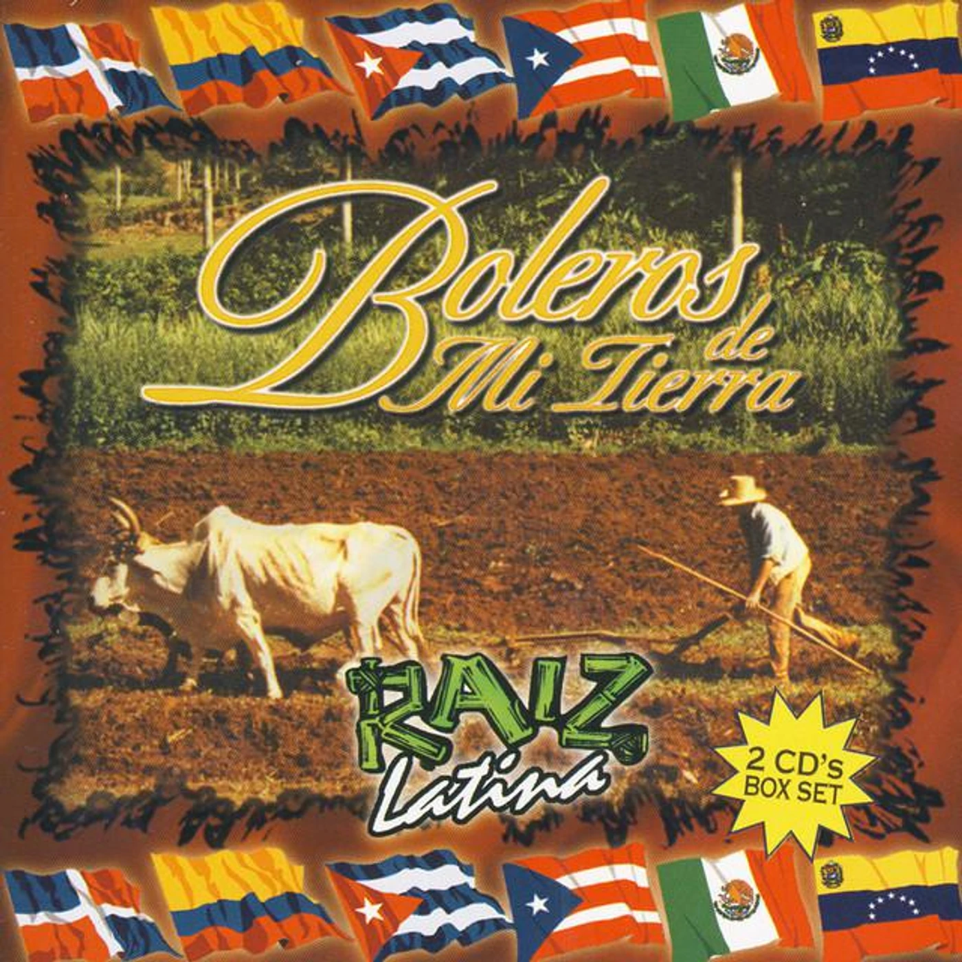 Orquesta Raiz Latina