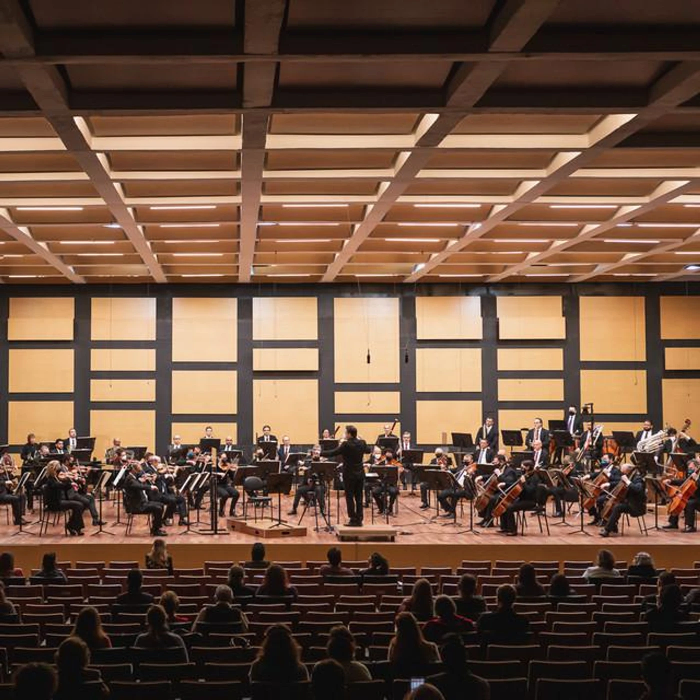 Orquestra Sinfônica de Porto Alegre Brand Page