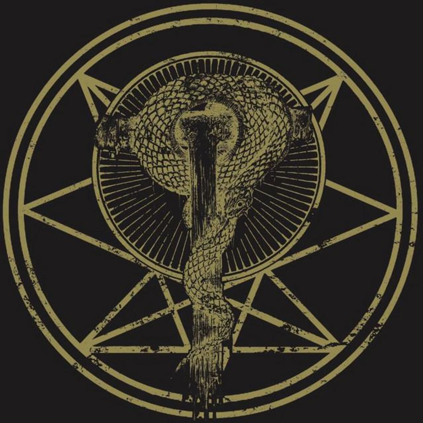 Orthodoxy Brand Page