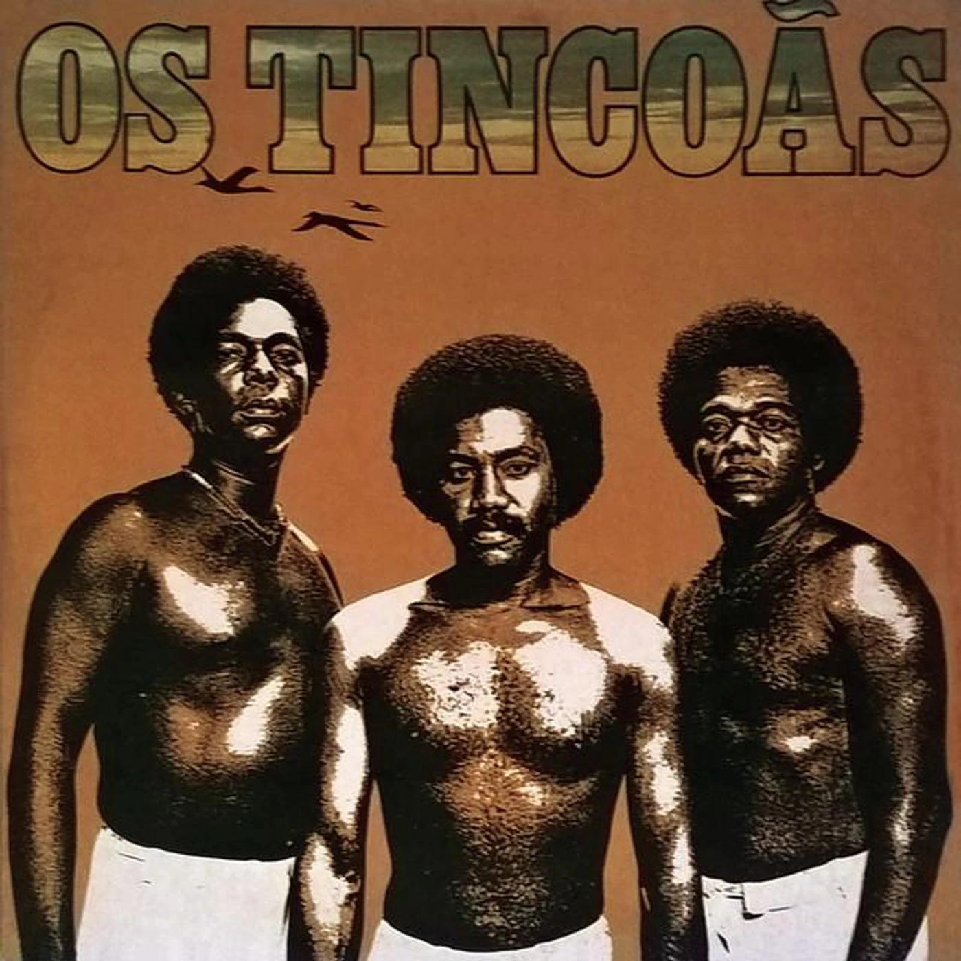 Os Tincoãs Brand Page