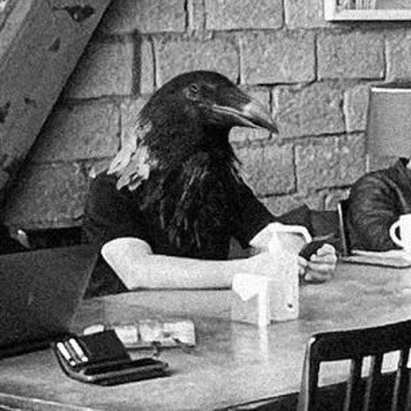 Otagh Band Brand Page