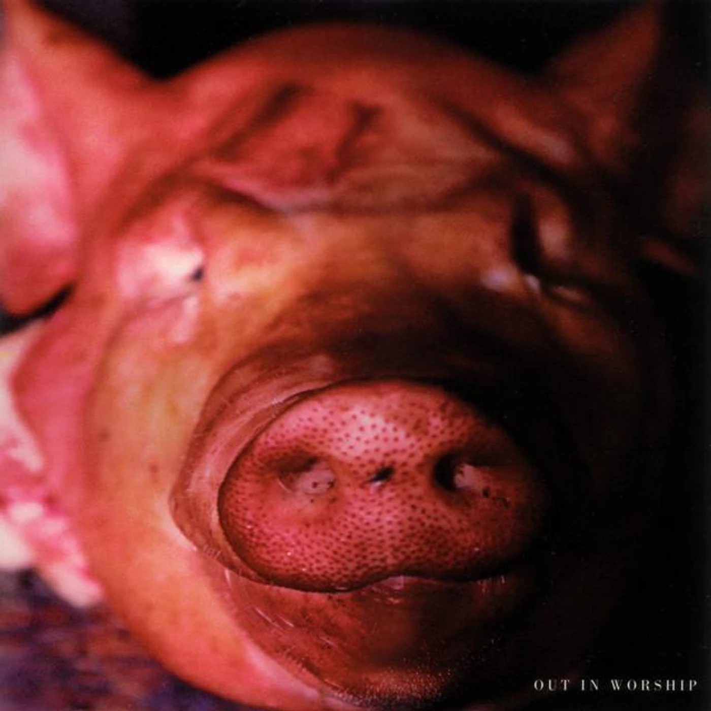 Out In Worship Brand Page