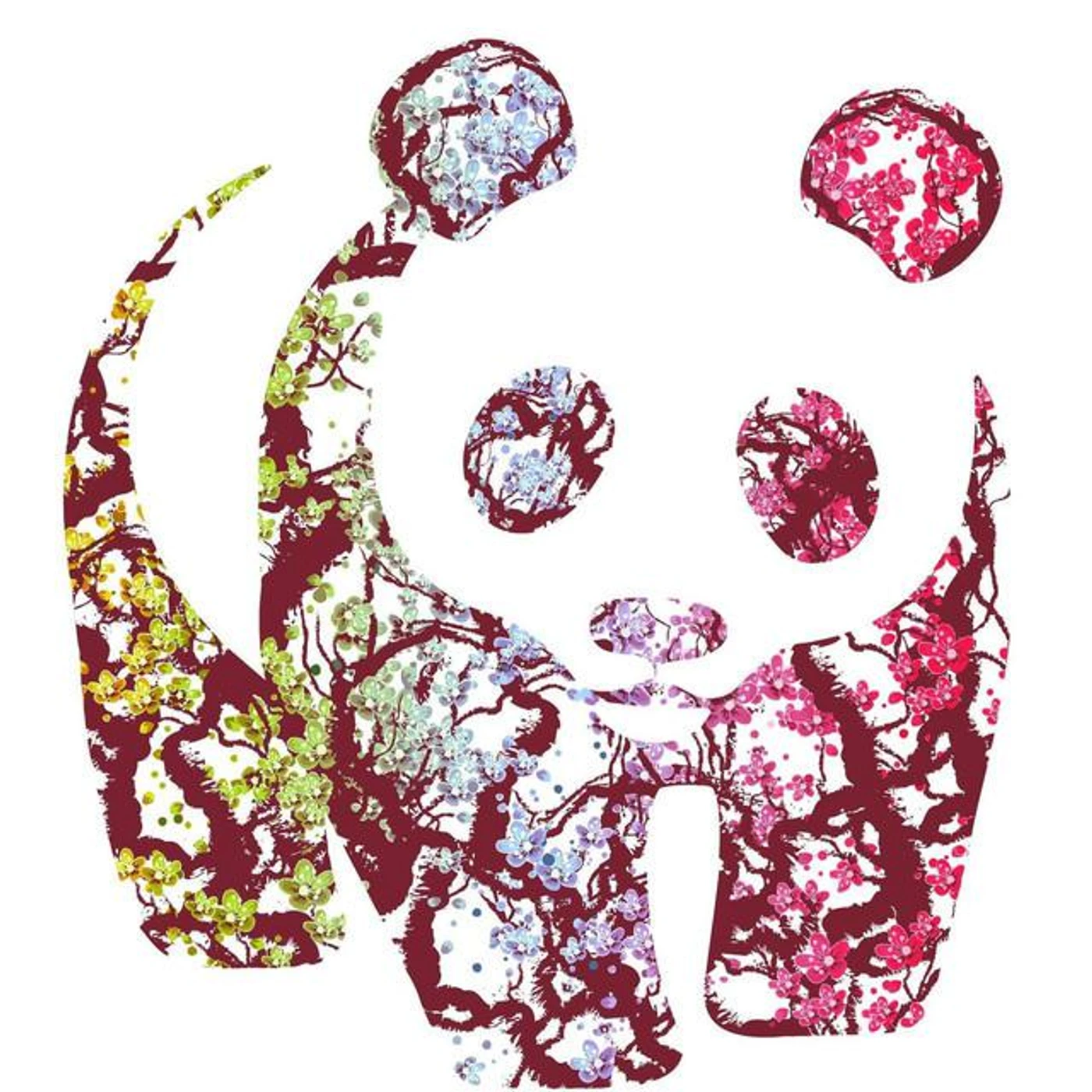 Panda Panda!