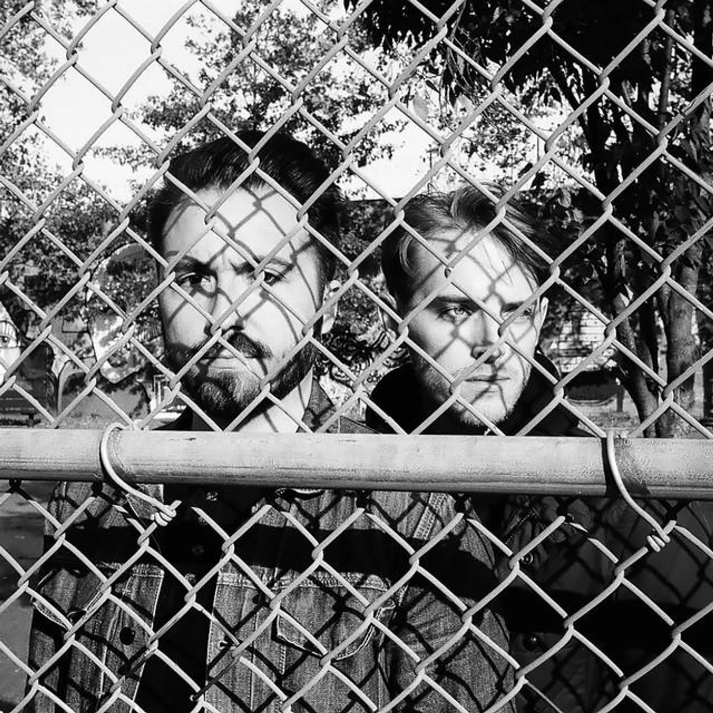 Palladino Brand Page