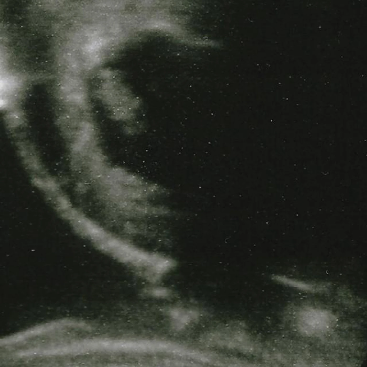 Palm Honey Brand Page