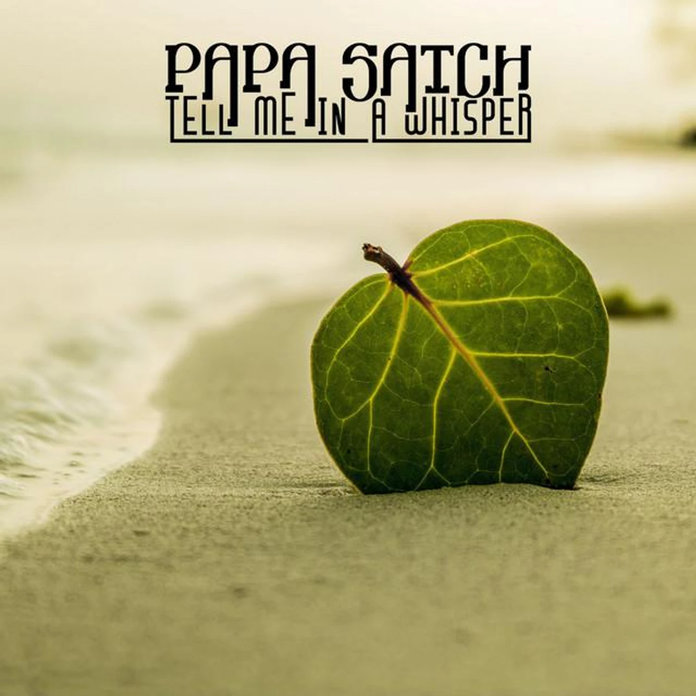 Papa Satch Brand Page