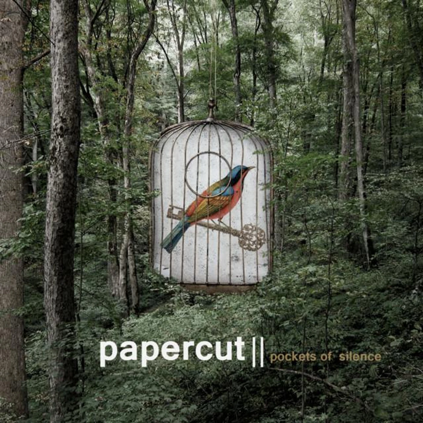 Papercut (GR) Brand Page