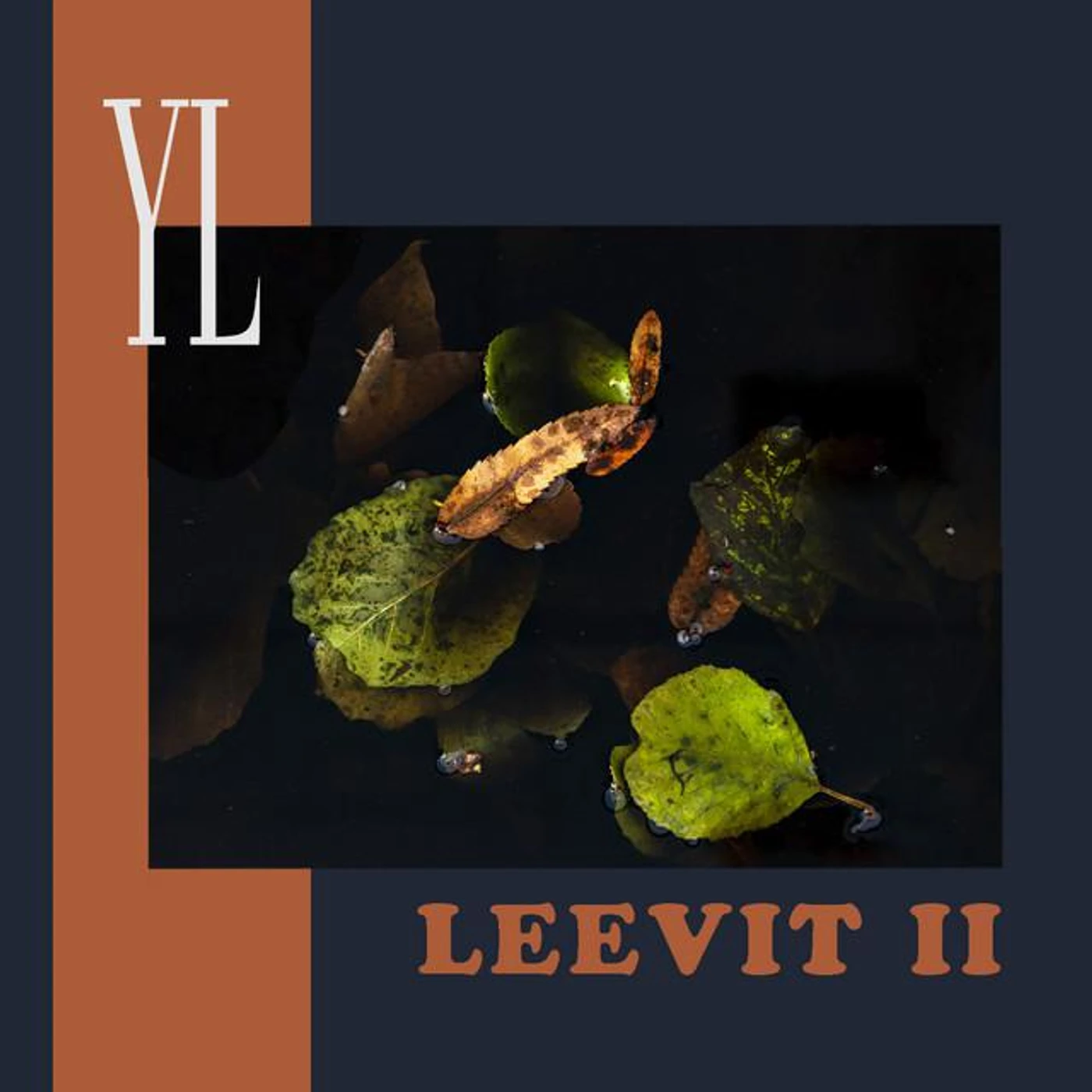 Pasi Hyökki Brand Page