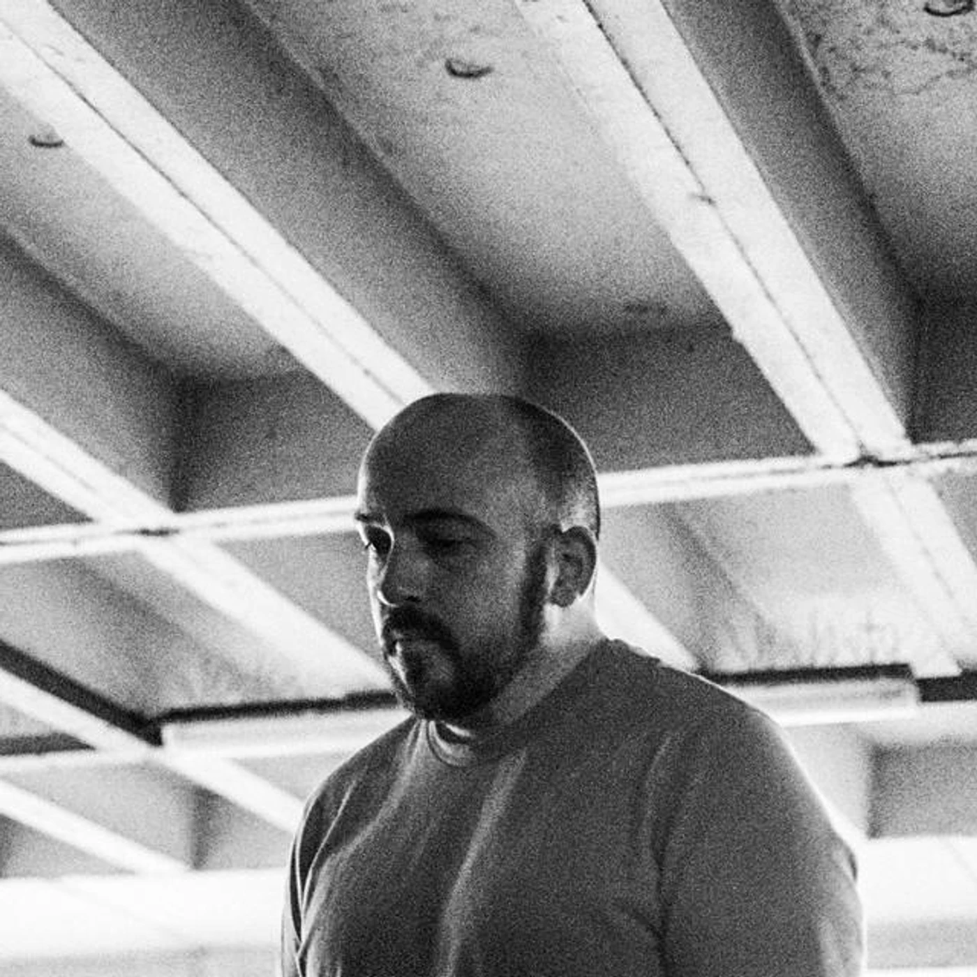 Pat D Brand Page