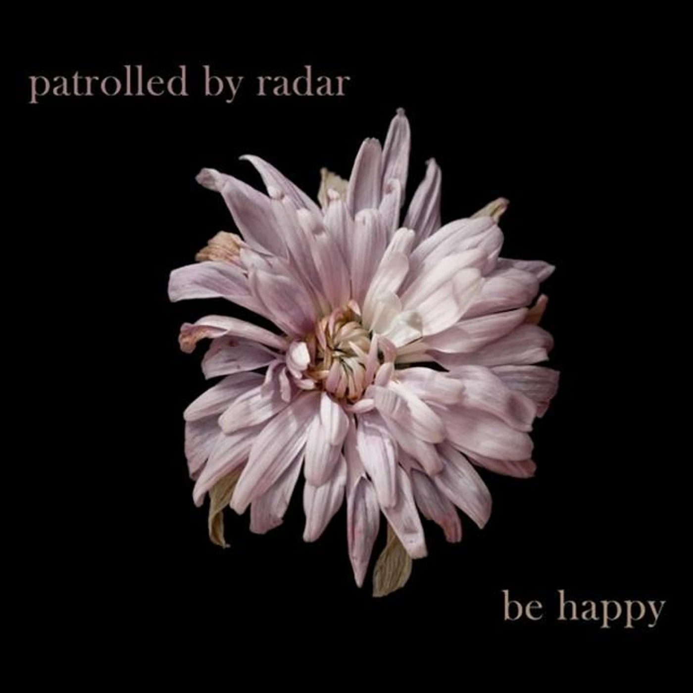 Patrolled By Radar Brand Page