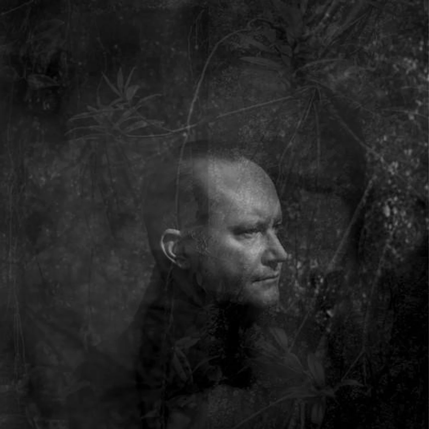 Paul McLaney Brand Page