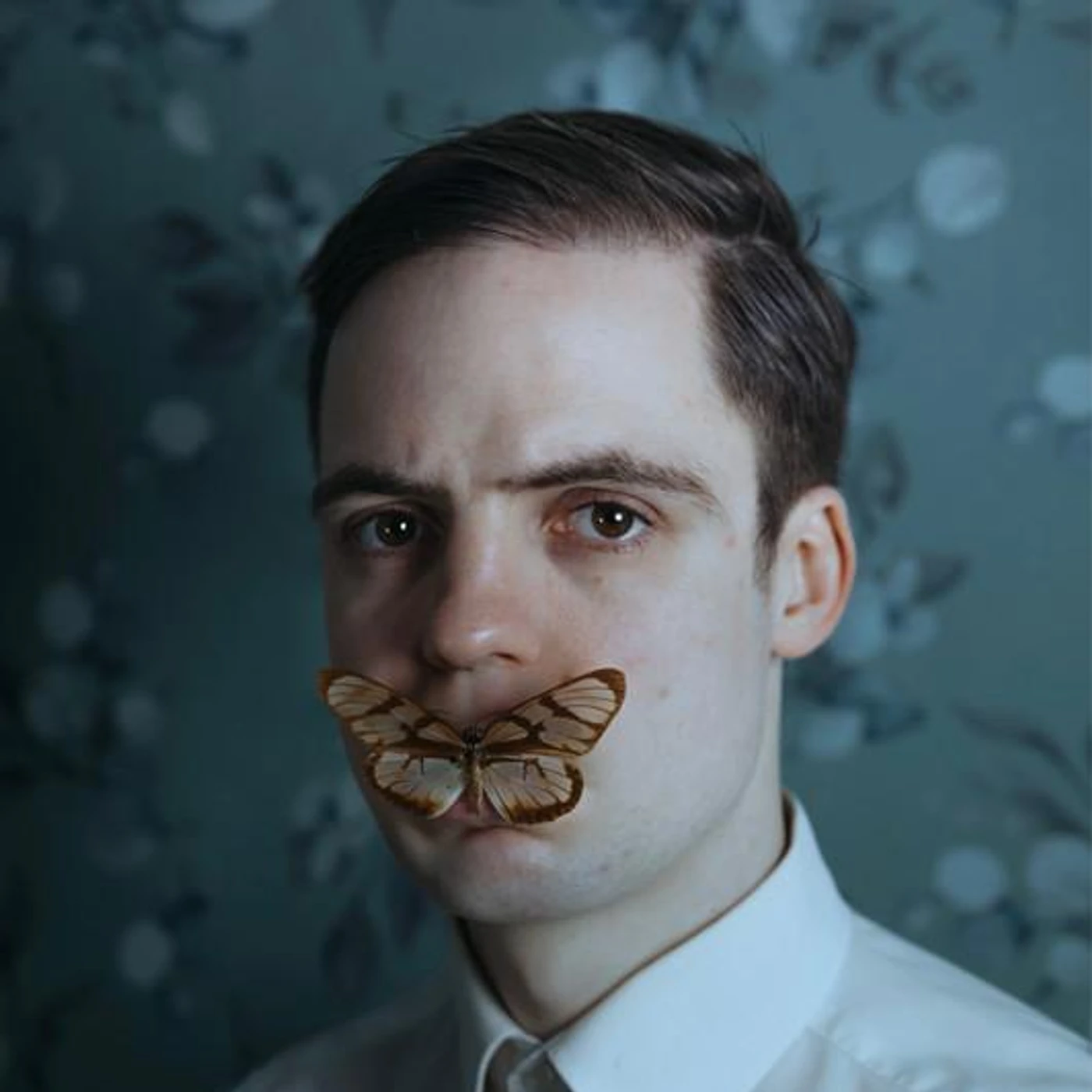 Paul Sies Brand Page