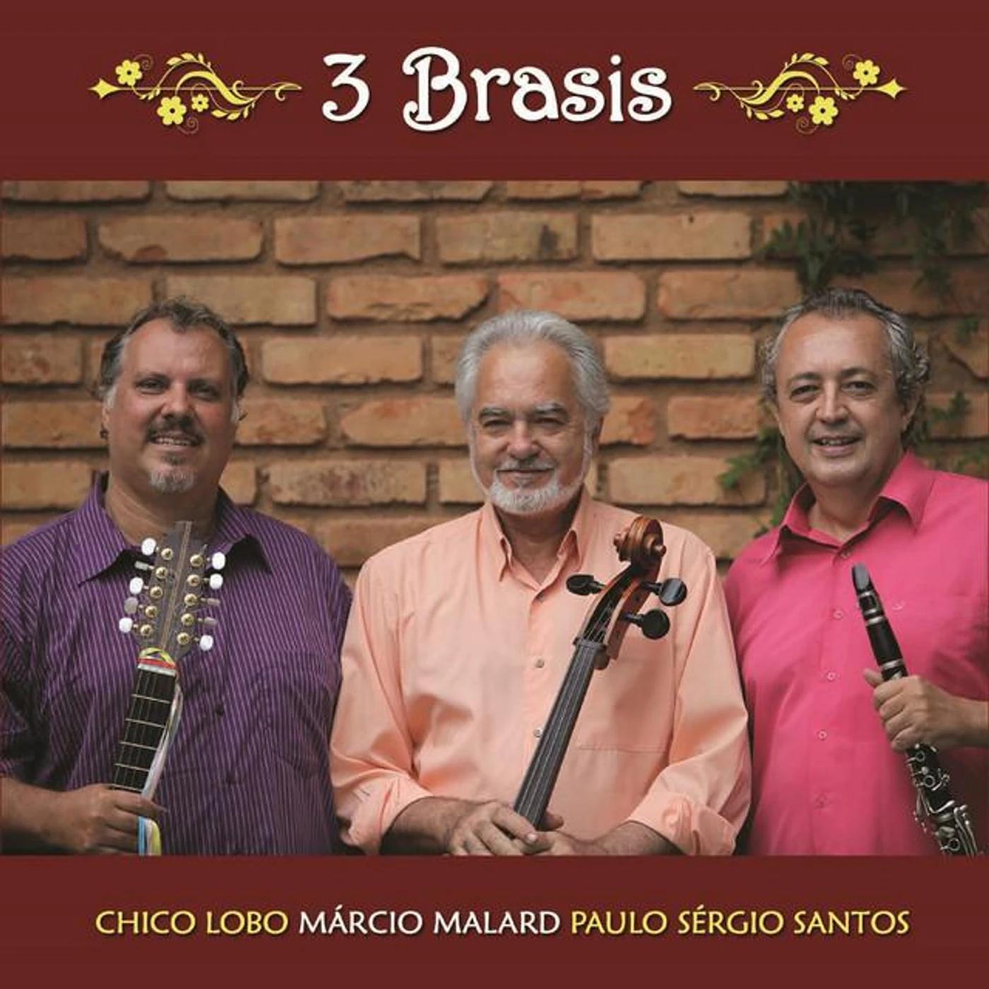 Paulo Sérgio Santos Brand Page