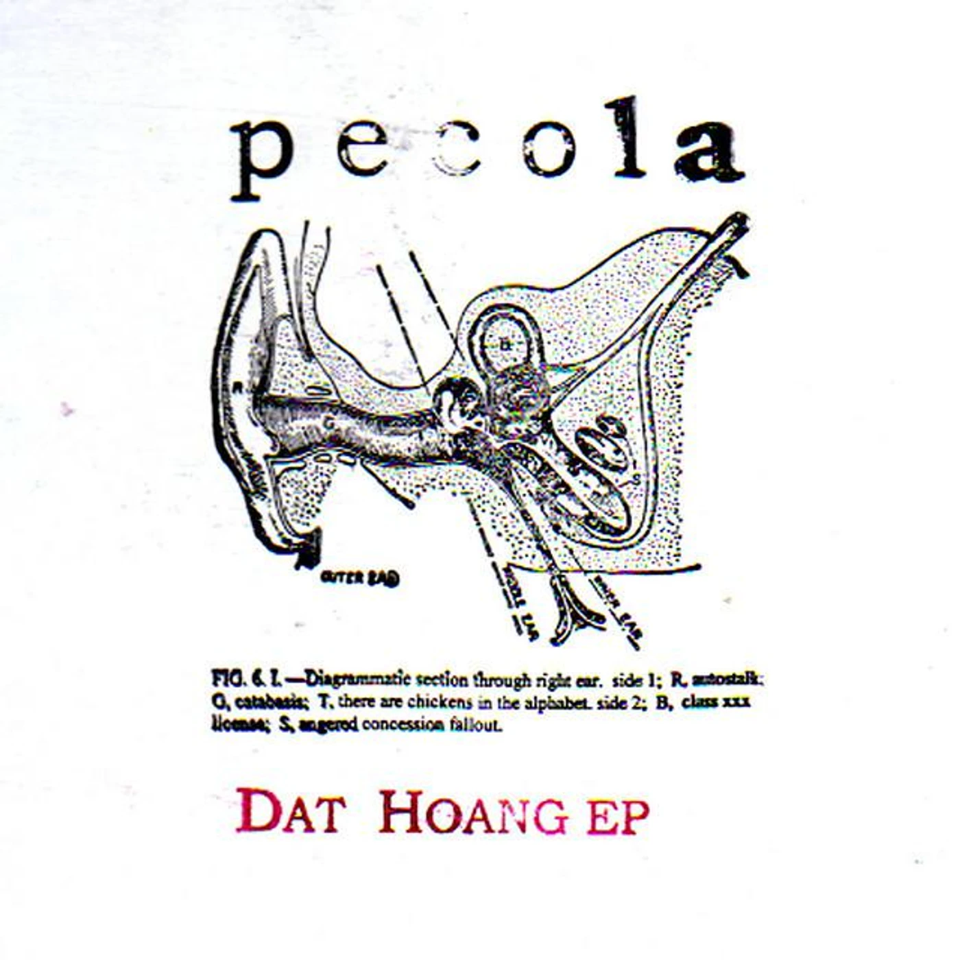 Pecola Brand Page