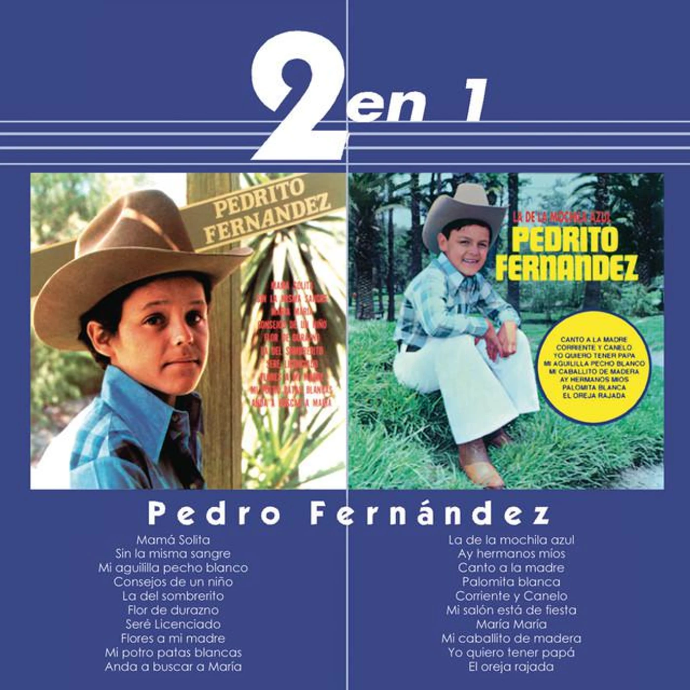 Pedrito Fernández Brand Page