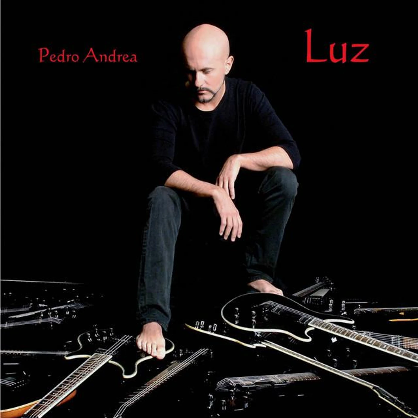 Pedro Andrea