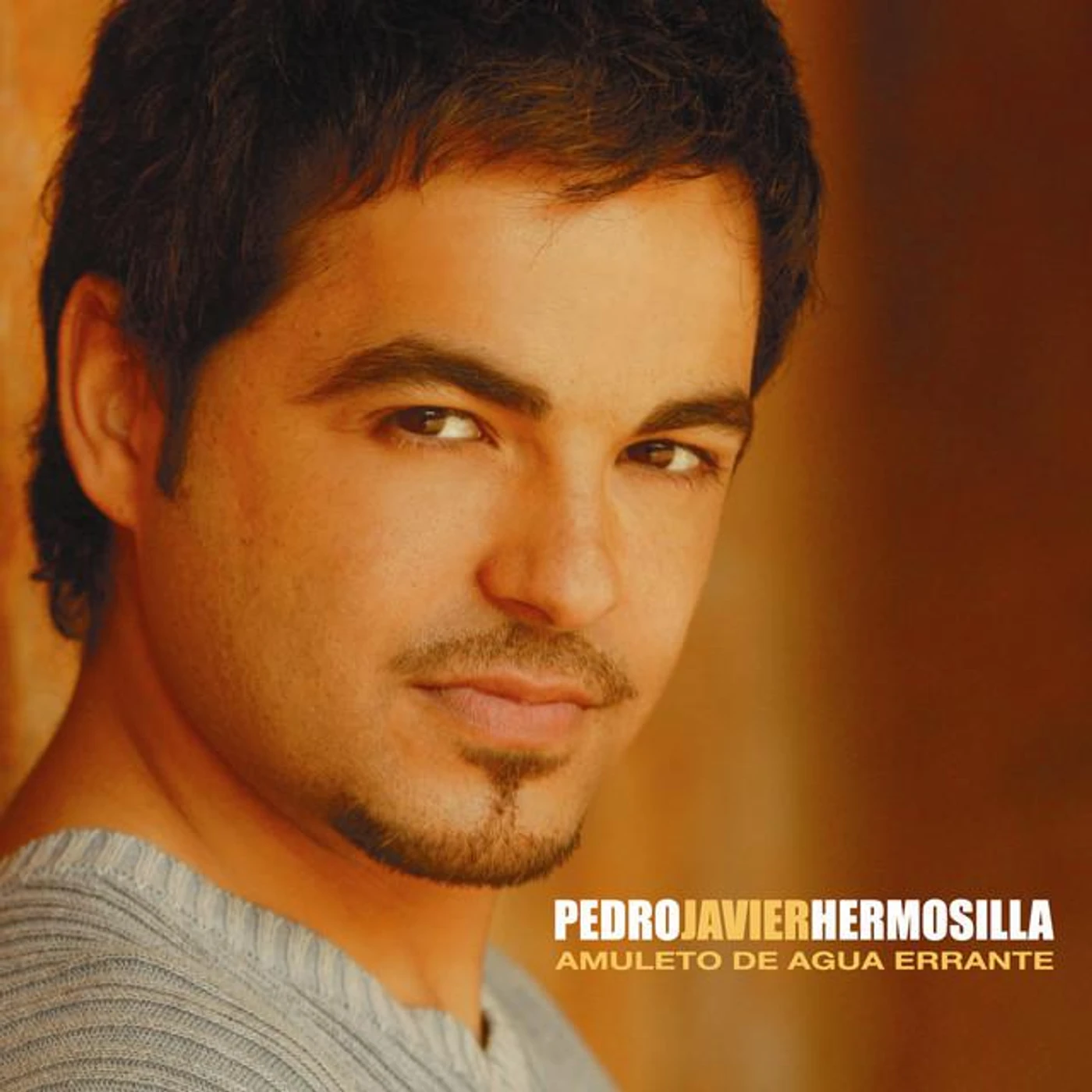 Pedro Javier Hermosilla Brand Page