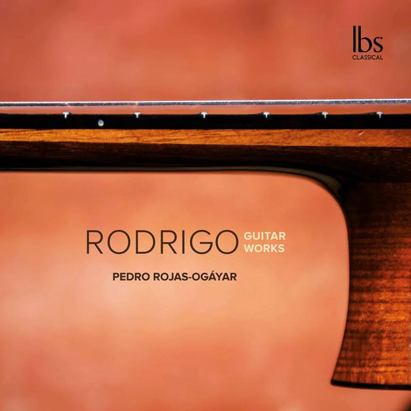 Pedro Rojas Ogáyar Brand Page