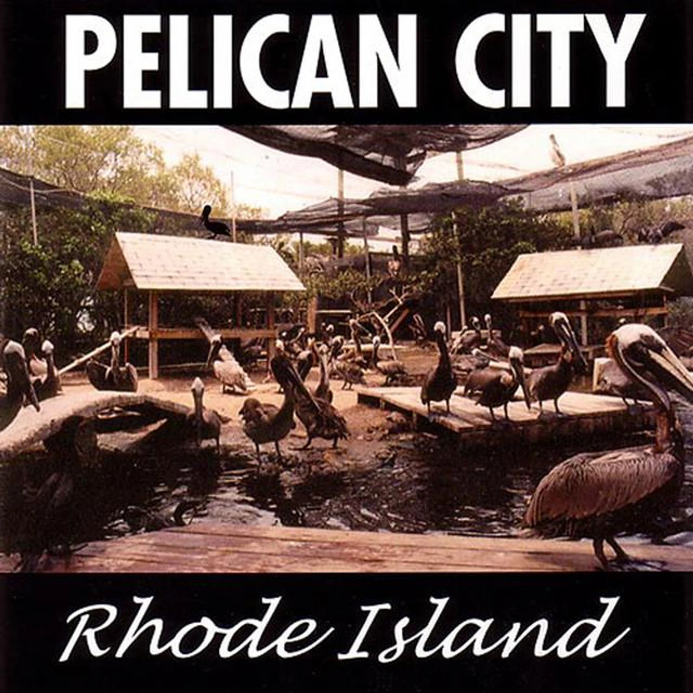 Pelican City Brand Page