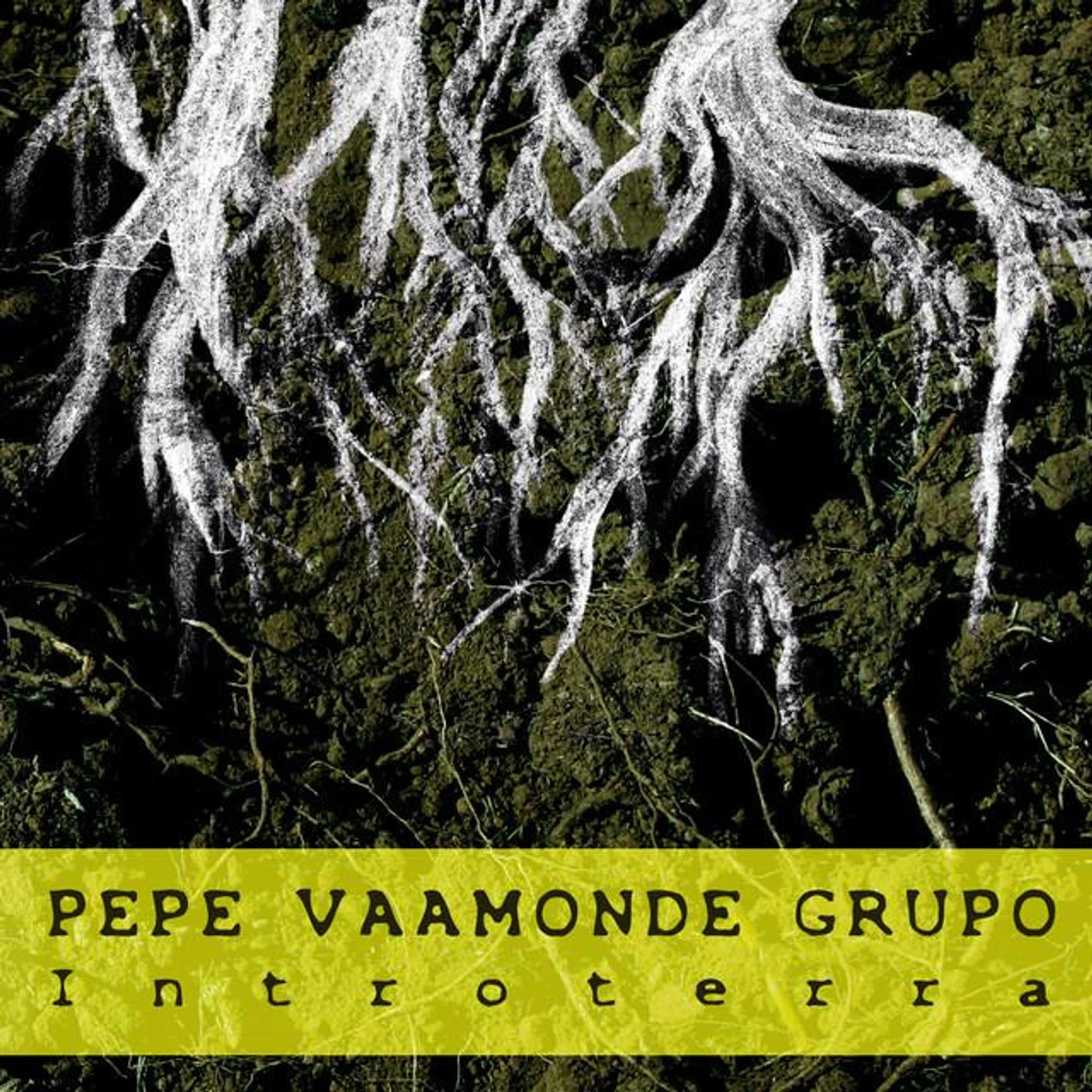 Pepe Vaamonde Grupo Brand Page