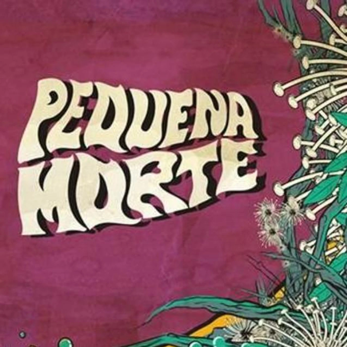 Pequena Morte