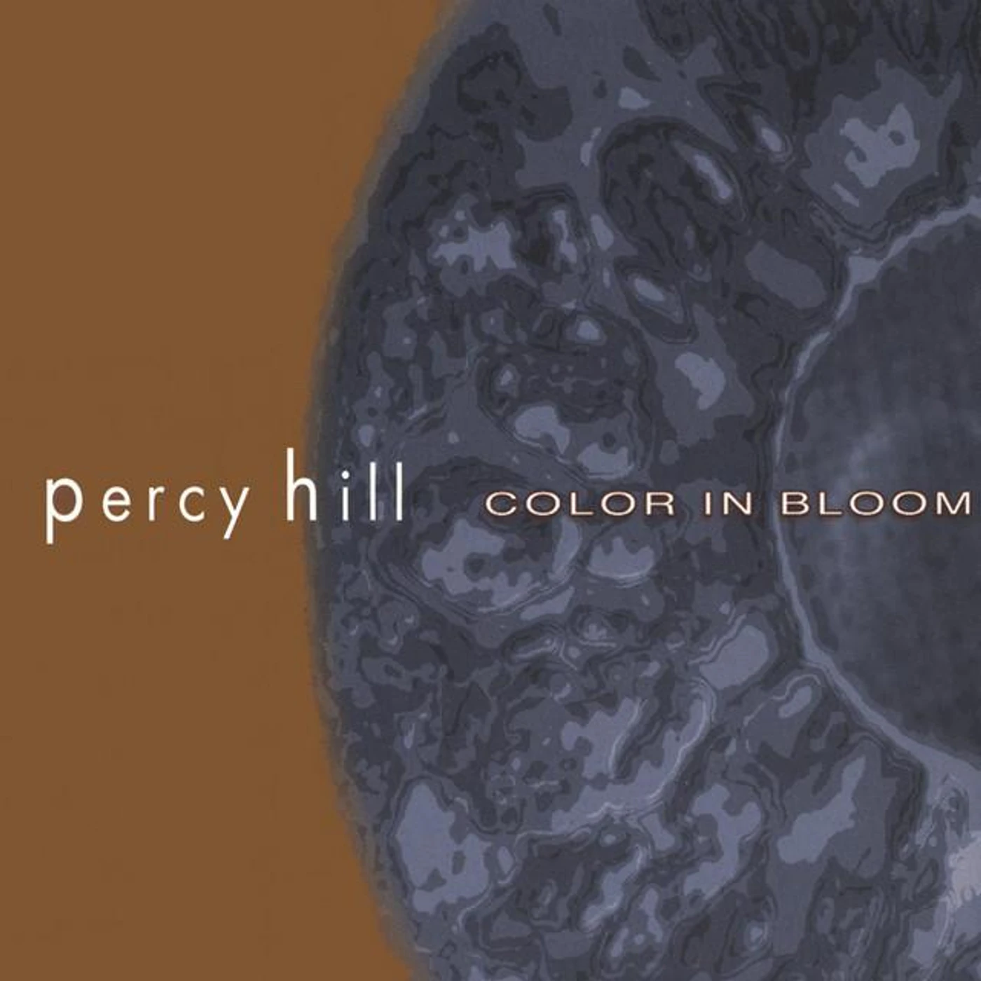 Percy Hill Brand Page