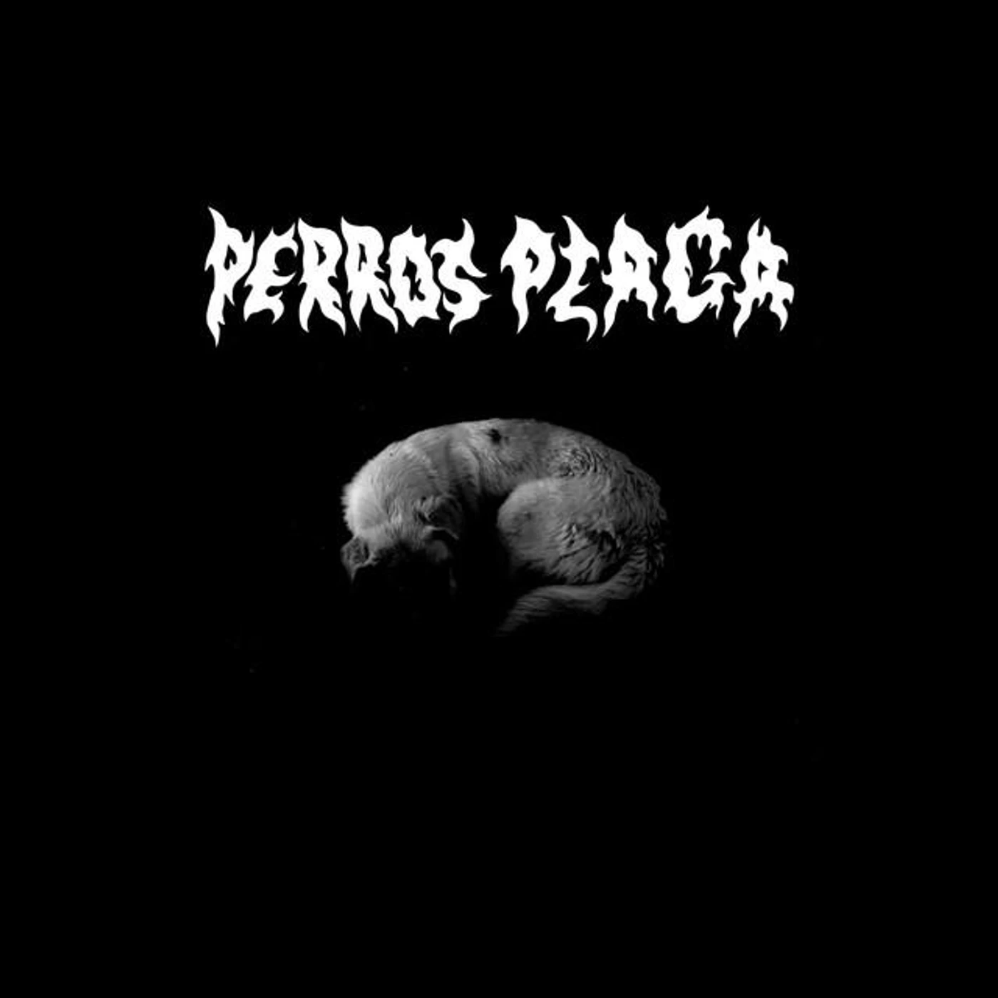 Perros Plaga Brand Page