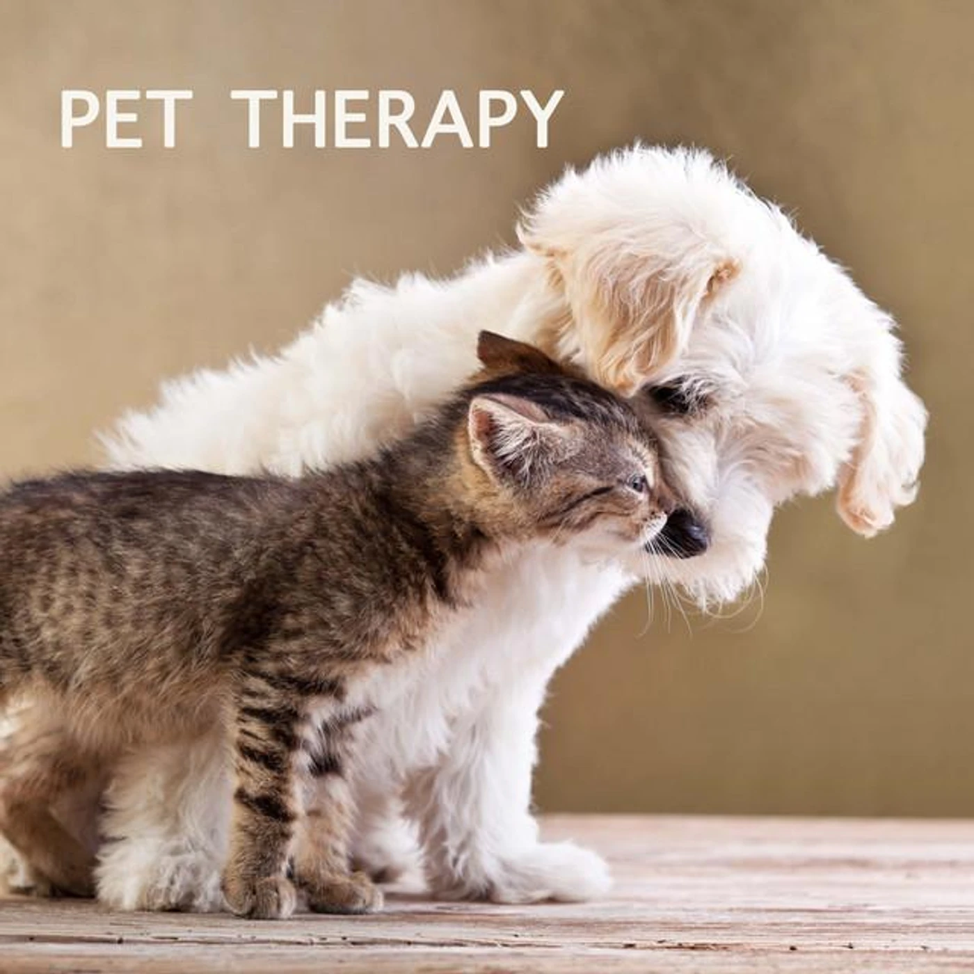 Pet Therapy Specialist